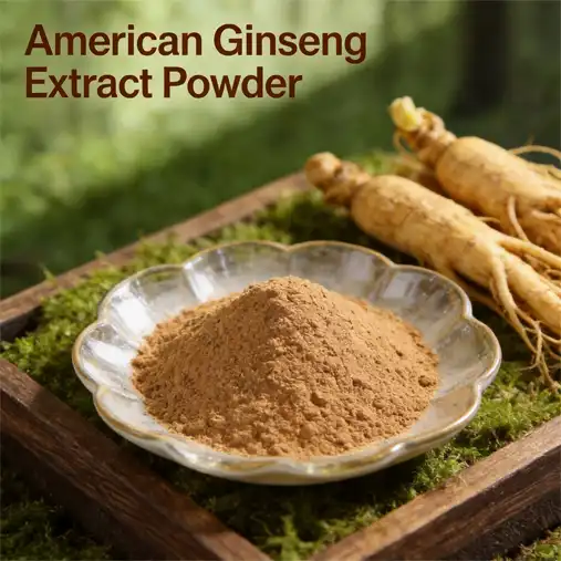 Could American Ginseng Extract Powder Boost Energy Naturally?